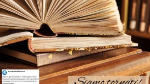 Accademia Crusca, oscurata pagina Fb