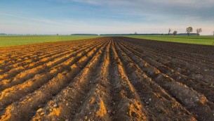 Acqua, Guerrini (Arera): "Nuovo metodo tariffario permetterà copertura costi riuso agricoltori"
