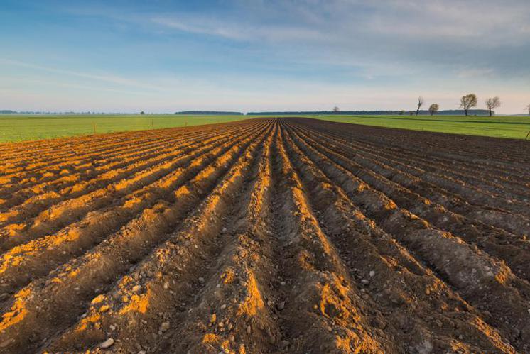 Acqua, Guerrini (Arera): "Nuovo metodo tariffario permetterà copertura costi riuso agricoltori"