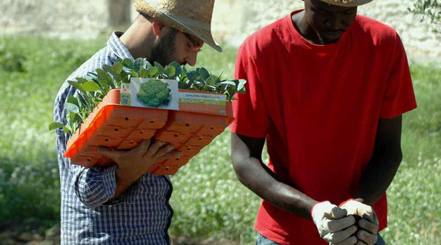 agricoltori_migranti-jpg__1200x600_q50_crop_subsampling-2_upscale