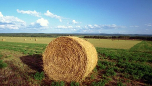 agricoltura