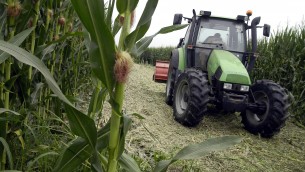 Agricoltura, Ismea: "Nel 2022 produzione in calo e costi alle stelle"