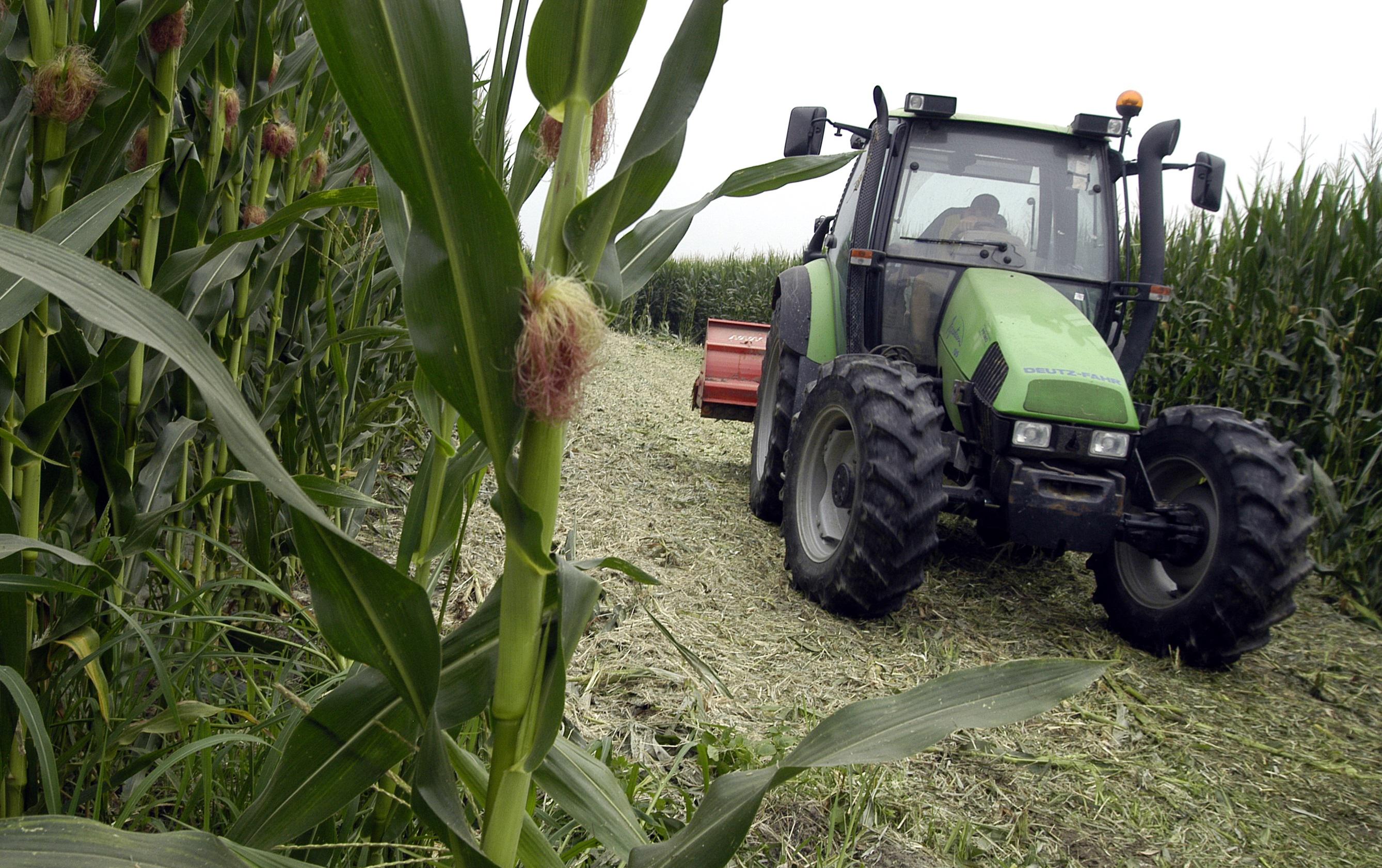 Agricoltura, Ismea: "Nel 2022 produzione in calo e costi alle stelle"