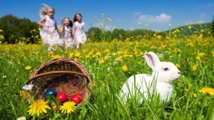 agriturismo_pasqua_113232