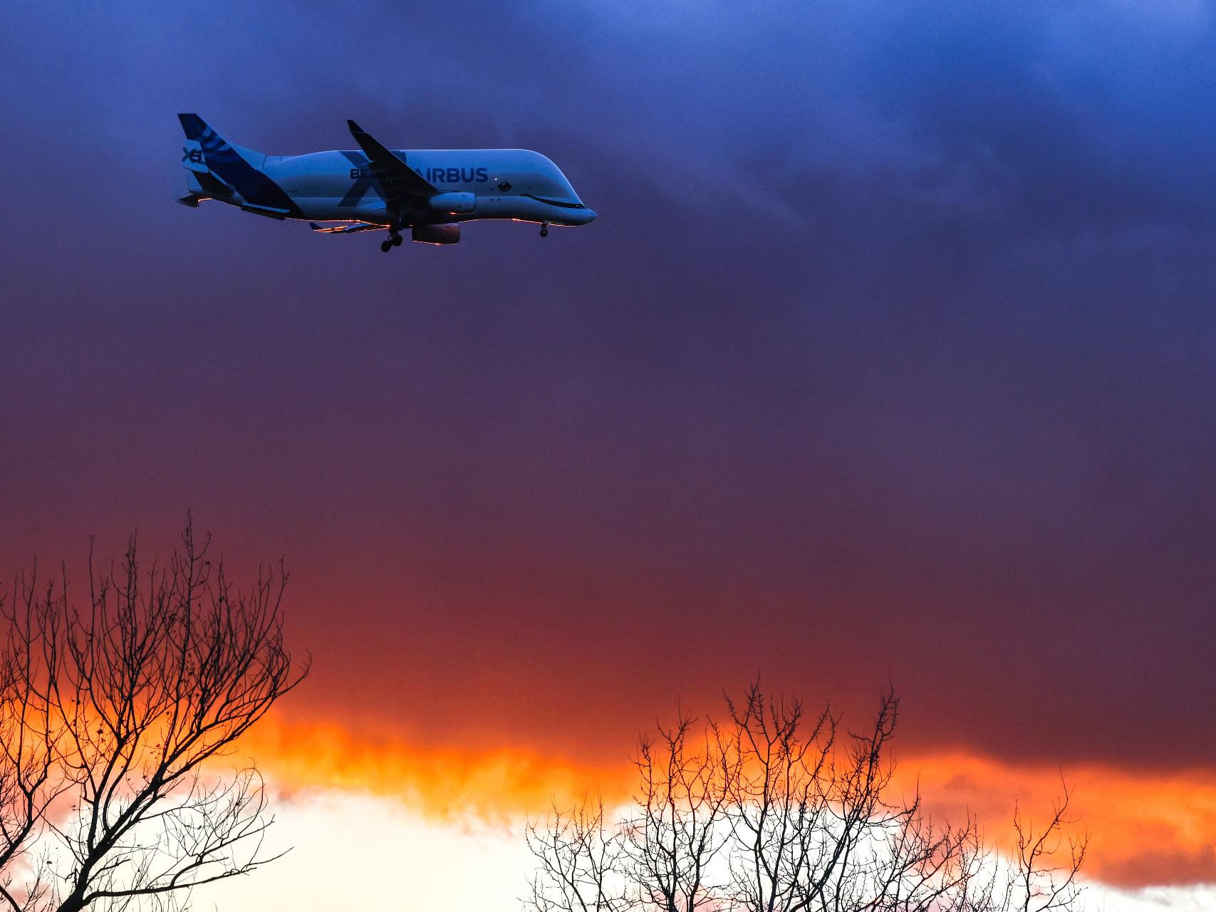 Airbus annuncia assunzioni in tutto il mondo: requisiti e profili richiesti