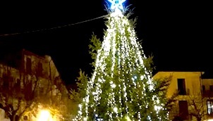 albero-di