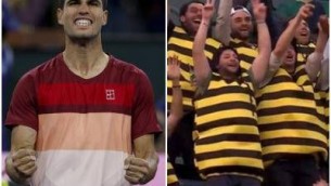 Alcaraz, tifosi speciali a Indian Wells: sugli spalti vestiti da api