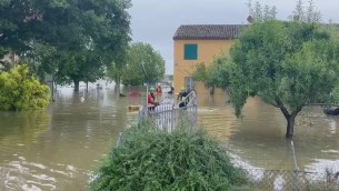 Alluvione Emilia Romagna, gommoni come l'Arca di Noè per salvare pappagalli, cani e gatti