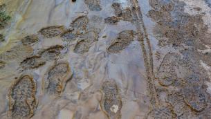 Alluvione Marche, prosegue la ricerca dei tre dispersi