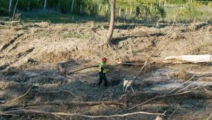 Alluvione Marche, ritrovato il corpo del bimbo disperso