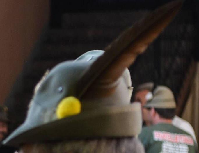 Alpini, gen