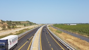 anas