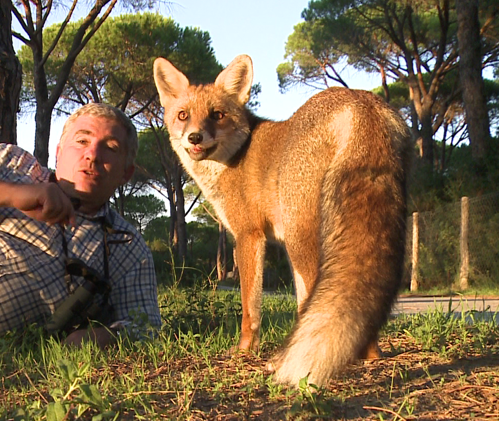 Animali, il Bioparco di Roma valorizza le strutture e chiude il 2021 a quota 400mila visitatori
