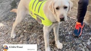 Bergamo, niente funicolare per cane di bimbo autistico: gente insorge