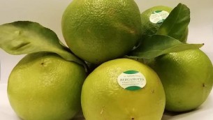 bergamotto-frutti