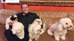 Berlusconi annuncia new entry ad Arcore: "Dopo Dudu ecco Drago e Lupo"