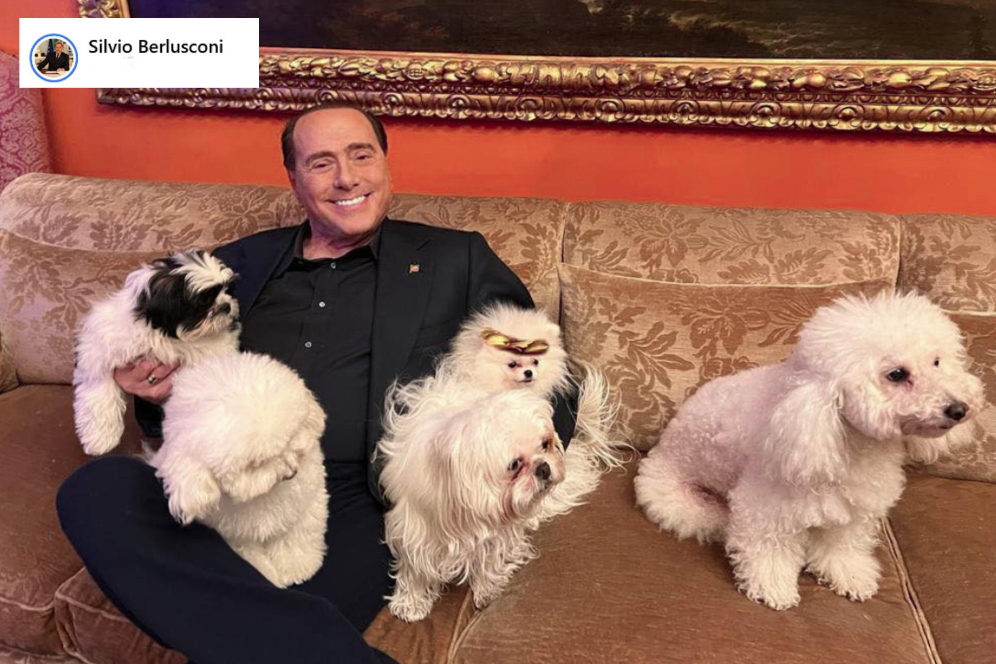 Berlusconi annuncia new entry ad Arcore: "Dopo Dudu ecco Drago e Lupo"