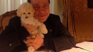 Berlusconi, la seconda vita di Dudù: il barboncino resta con Fascina ad Arcore