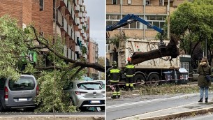 Bomba d'acqua su Roma, cade un albero e stop al tram 8