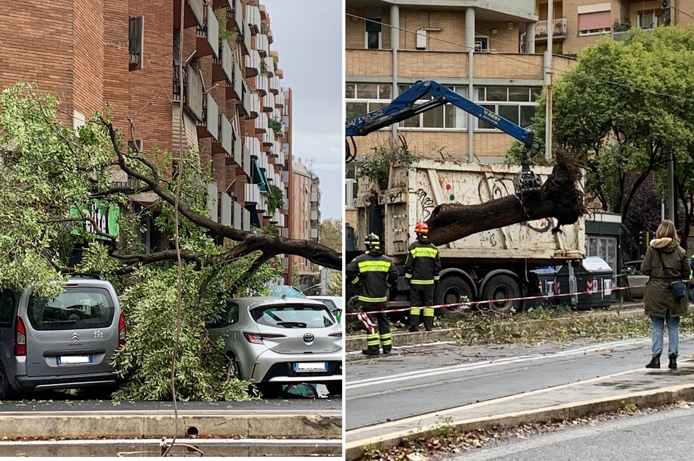 Bomba d'acqua su Roma, cade un albero e stop al tram 8