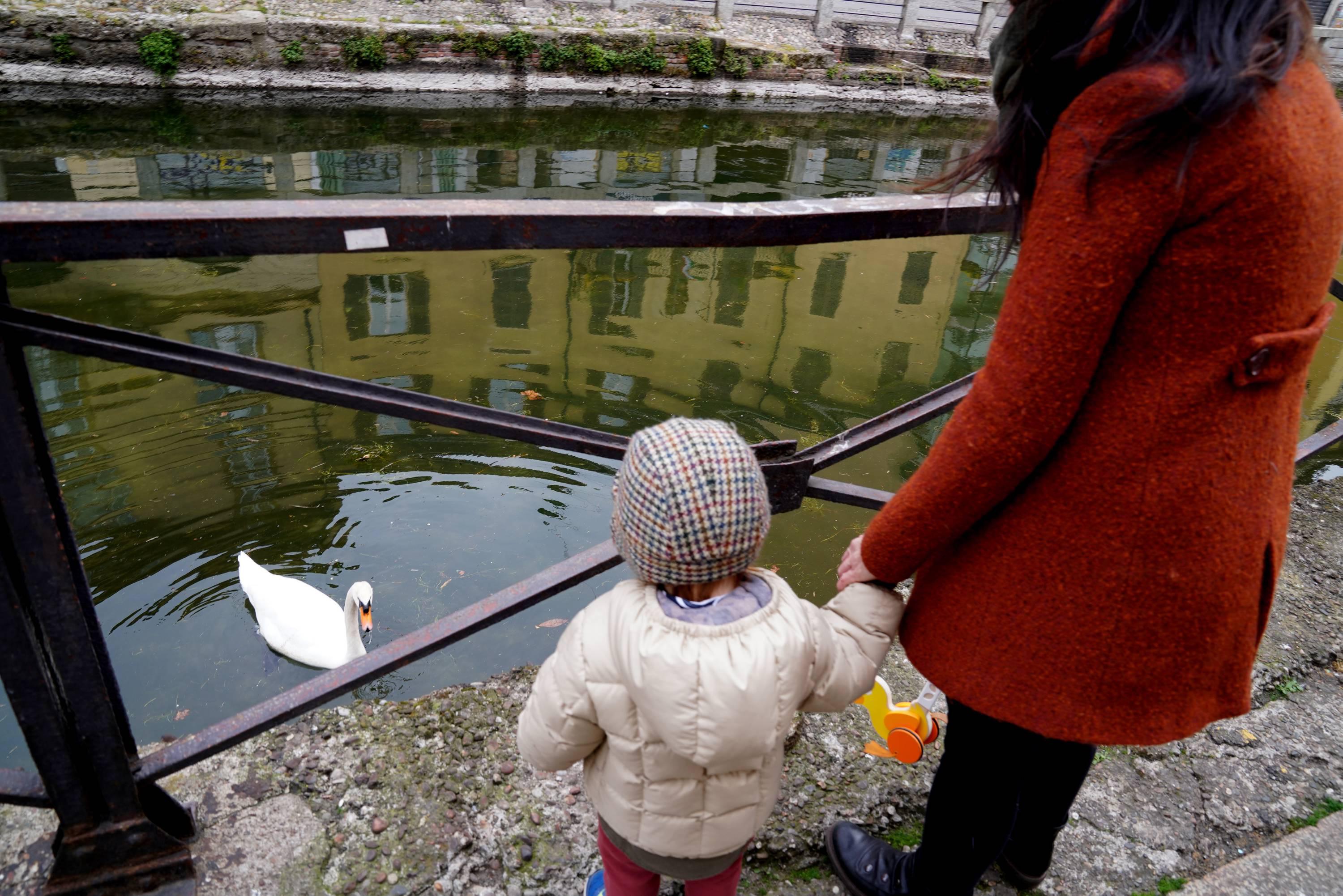 Bonus genitori disoccupati o monoreddito con figli disabili: domande dal 1 febbraio