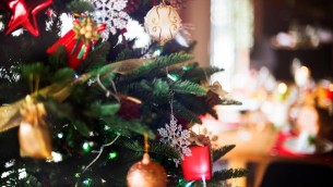 Bonus Natale 2024, dai requisiti al modulo: i beneficiari, nuove regole