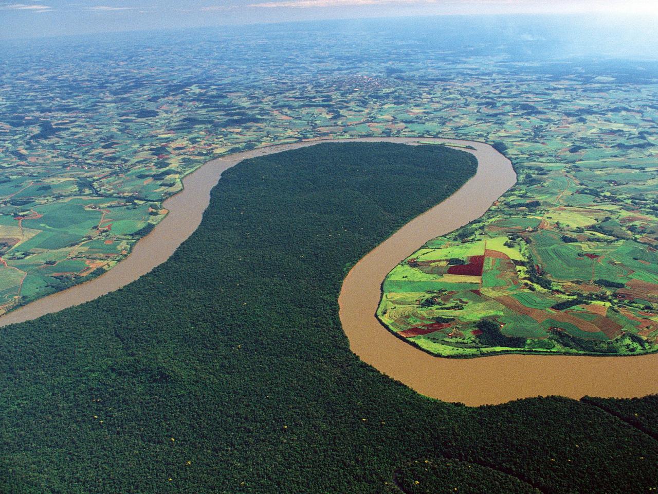 Brasile, Lula lancia il sogno amazzonico: "Zero deforestazione entro il 2030"