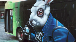 bus-meraviglie-cosenza