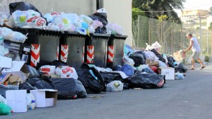 Caldo e sporcizia paradiso per le blatte, padrone delle città nelle notti d'estate