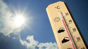 Caldo rovente, ecco il decalogo per salvare l'orto