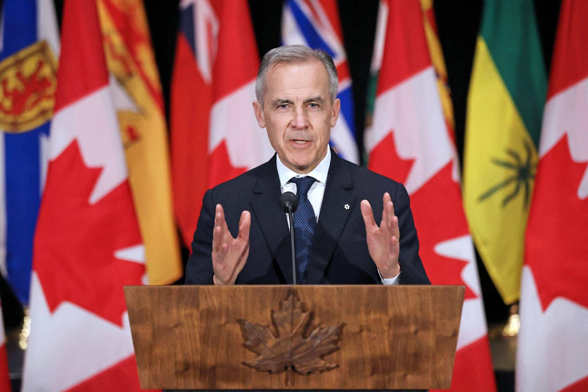 Canada, Carney annuncia elezioni anticipate: "Trump vuole distruggerci, non lo permetteremo"