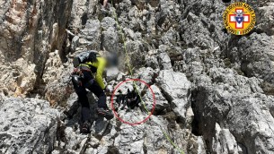 Cane scala montagna e resta bloccato: salvato