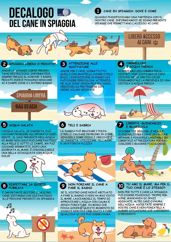 Cani in spiaggia, cosa c'è da sapere