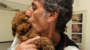 Capodanno, il veterinario Coccìa: "State con i vostri animali, evitate cure viste sui social e medicine"