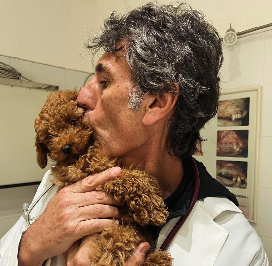 Capodanno, il veterinario Coccìa: "State con i vostri animali, evitate cure viste sui social e medicine"