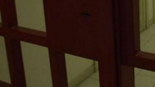 Carceri, tragedia a Porto Azzurro: agente si toglie la vita
