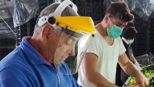 Caro energia, a rischio 881mila Pmi e 3,5 milioni di posti di lavoro