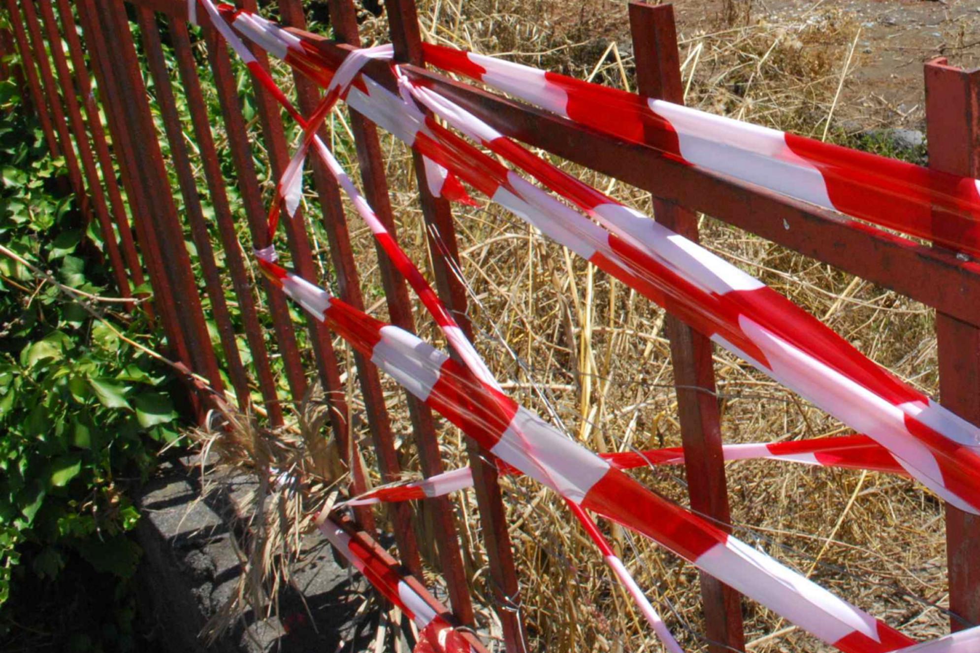Catanzaro, ragazza uccisa dai cani: indagato il proprietario