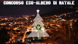 change-destiny-org_eco_albero_lamezia_terme