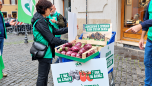 cia-i-conti-non-tornano