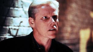 Cinema, l'attore Gary Busey accusato di molestie