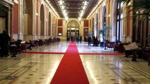 Cinghiali, formaggi e filosofia, la carica degli Odg alla manovra che fa esultare i deputati