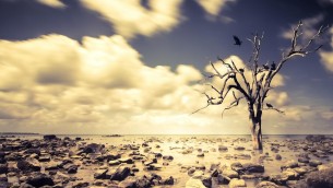 Clima, 2024 anno più caldo e il primo oltre il limite di 1