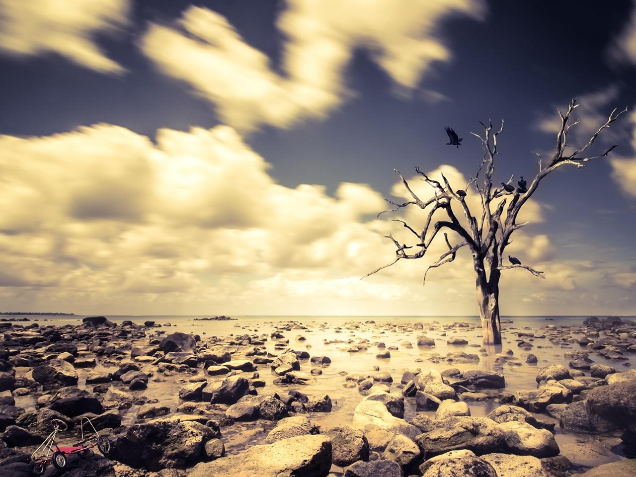 Clima, 2024 anno più caldo e il primo oltre il limite di 1