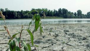 Clima, ondate di calore e alluvioni: l'impatto sulle città italiane