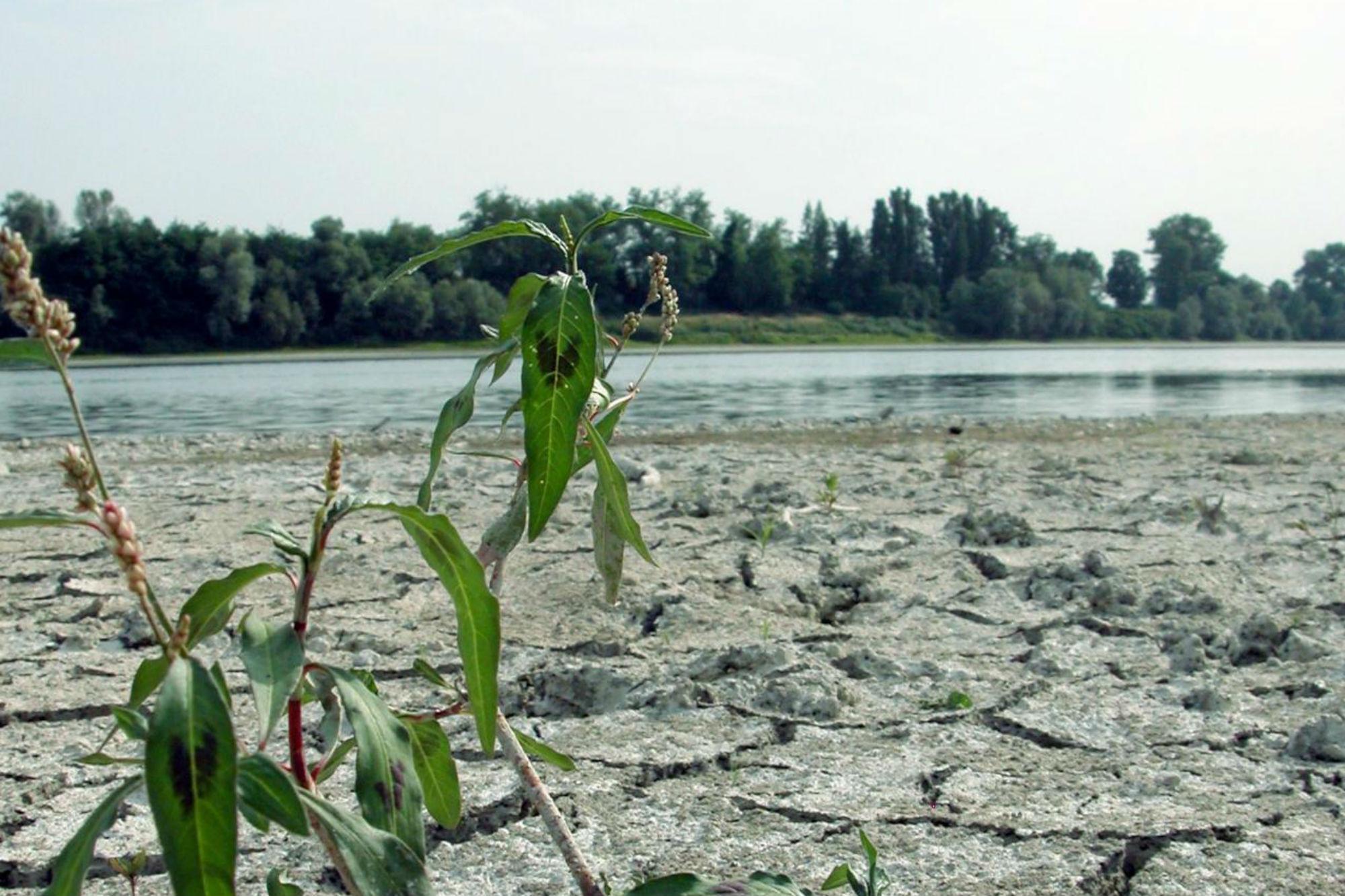 Clima, ondate di calore e alluvioni: l'impatto sulle città italiane