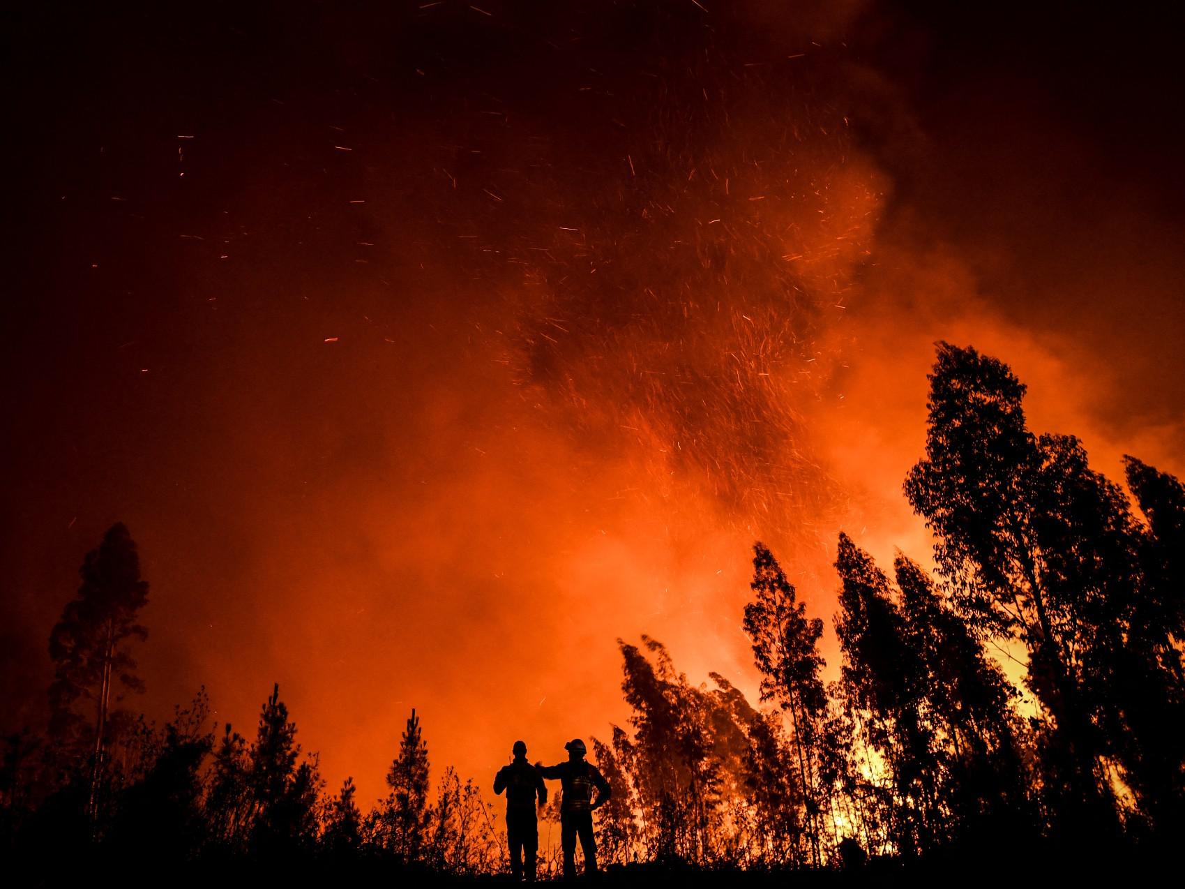 Clima, rapporto Onu: "Temperatura aumenta a una velocità mai vista"