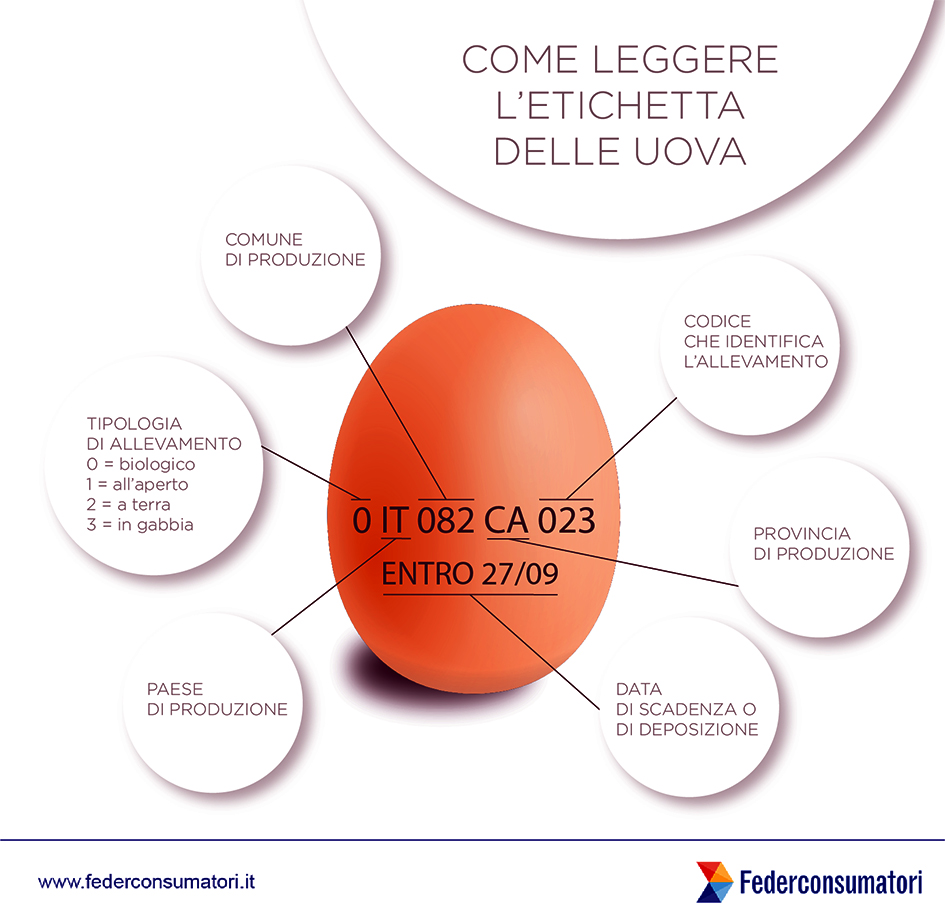 codice-uovo-01-copia