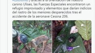 Colombia, 4 bambini ritrovati vivi nella foresta a 17 giorni da incidente aereo