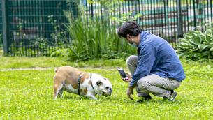 Come gestire il cane in caso di lockdown, il vademecum dell'Aidaa